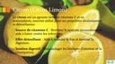 Citron