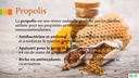 Propolis