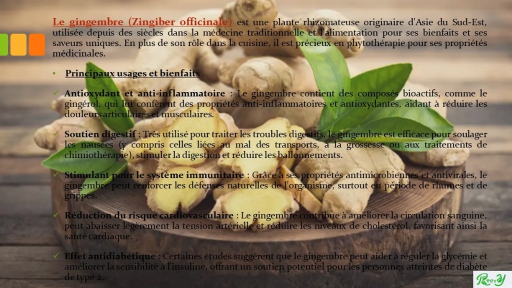Gingembre