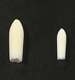 Suppositoire de cacao 125g